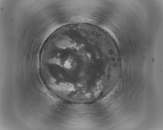 X0000088591031200706081323