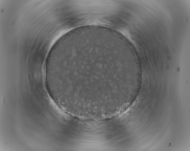 X0000088591032200706081323