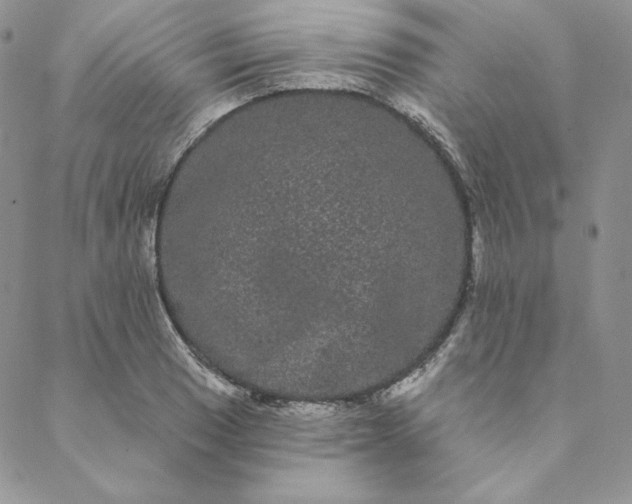 X0000088591033200706081323