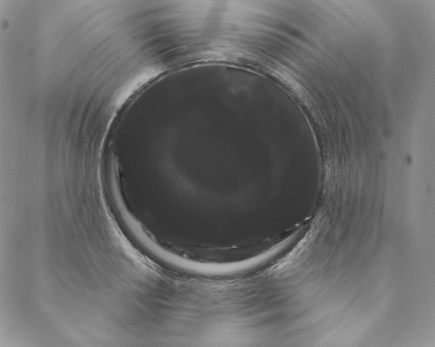 X0000088591034200706081323