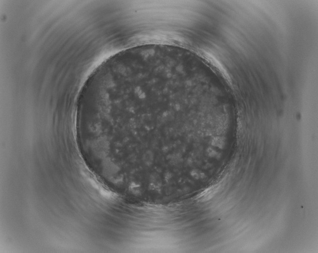 X0000088591035200706081323