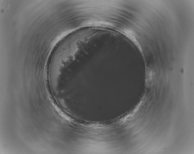 X0000088591037200706081323