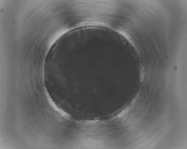 X0000088591038200706081323