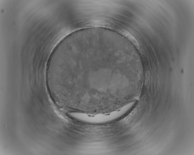 X0000088591039200706081323