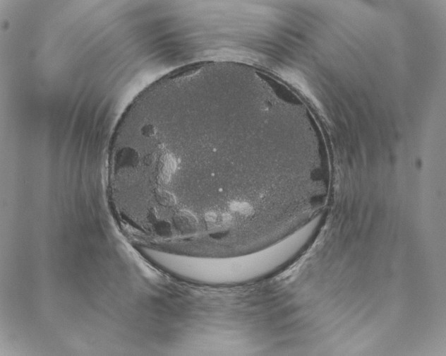 X0000088591040200706081323