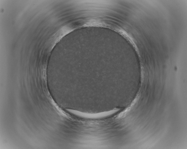 X0000088591041200706081323