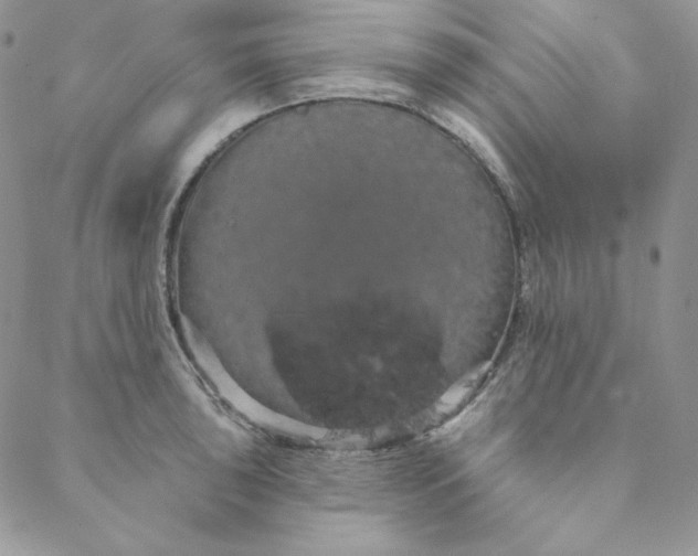 X0000088591043200706081323