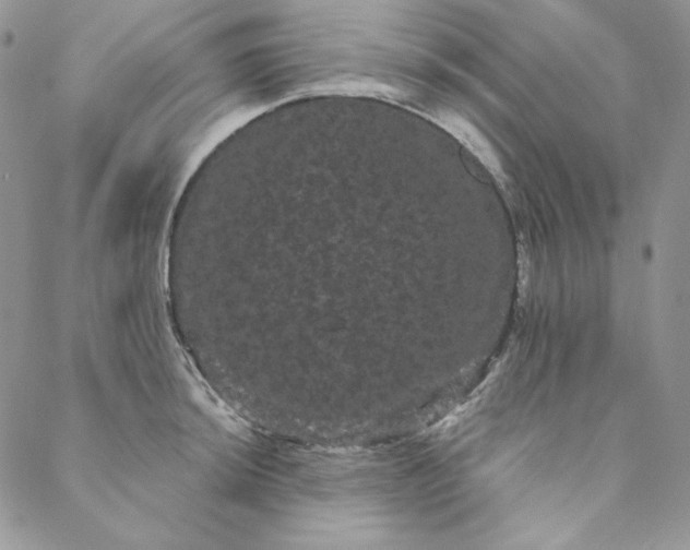 X0000088591044200706081323