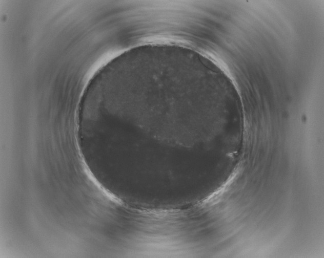 X0000088591045200706081323