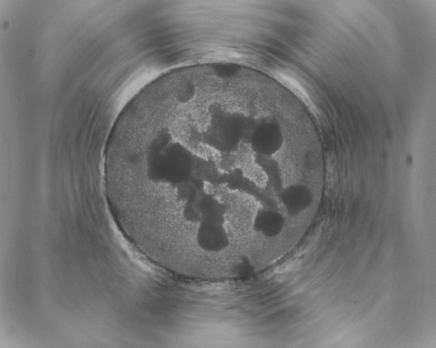 X0000088591047200706081323