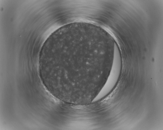 X0000088591048200706081323