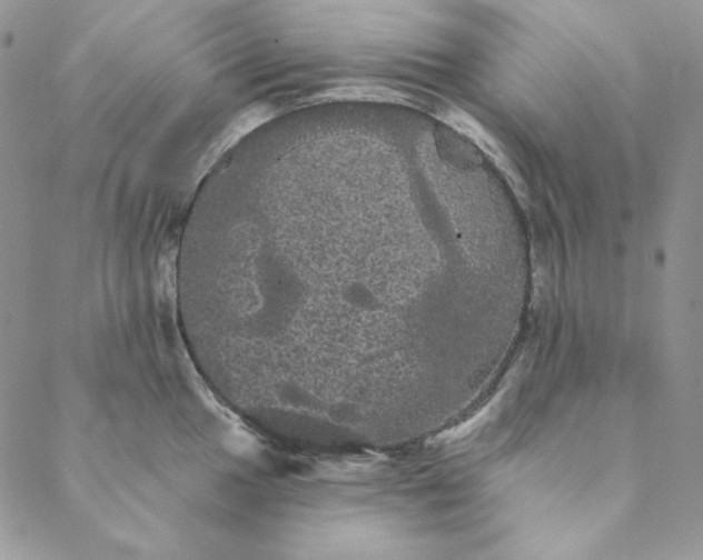 X0000088591049200706081323