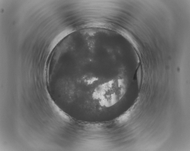 X0000088591050200706081323