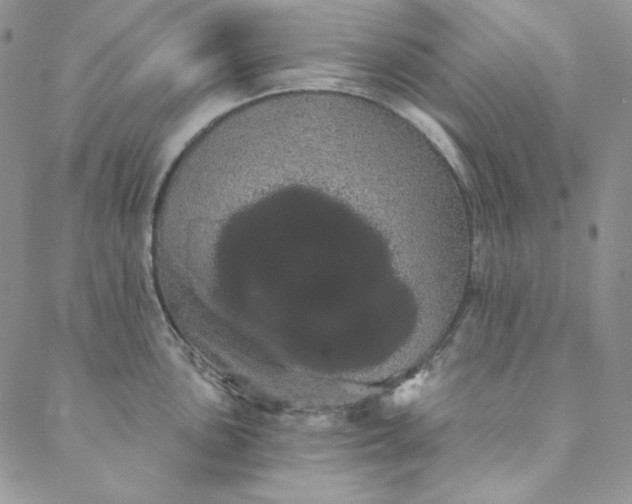 X0000088591051200706081323