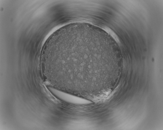 X0000088591052200706081323