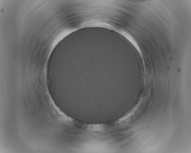 X0000088591053200706081323