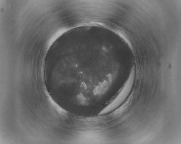 X0000088591054200706081323