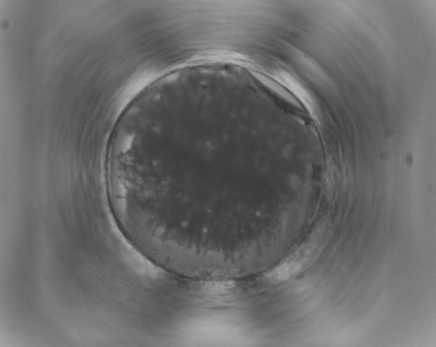 X0000088591055200706081323