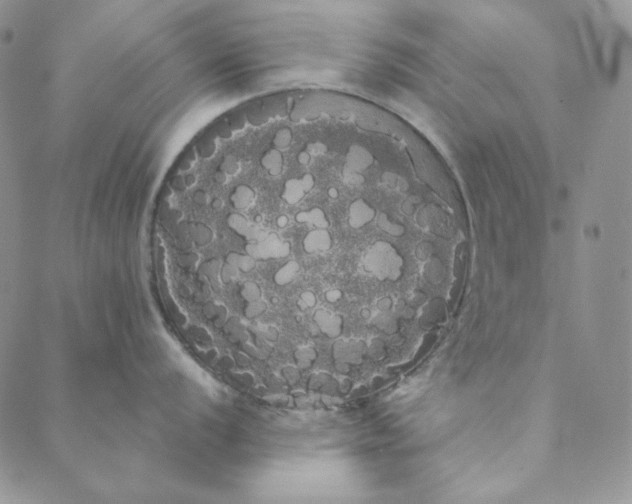 X0000088591056200706081323