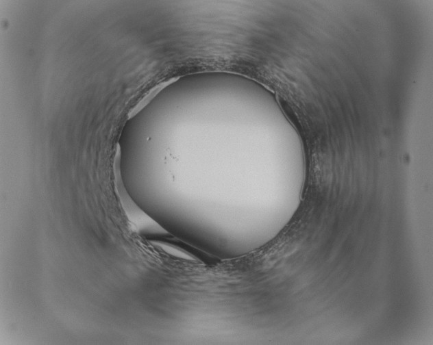 X0000088591057200706081322