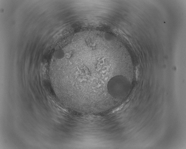 X0000088591059200706081322