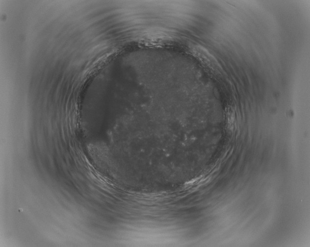 X0000088591060200706081322