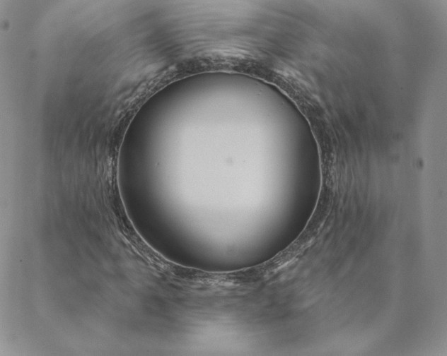 X0000088591061200706081322