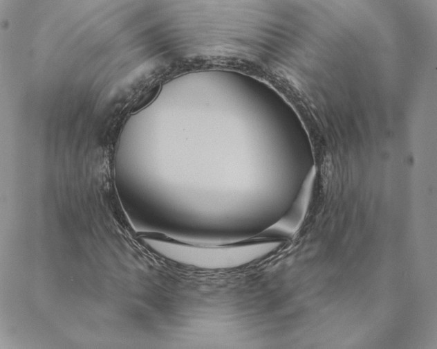 X0000088591062200706081322