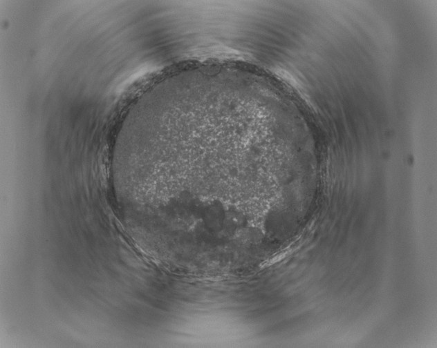 X0000088591063200706081322