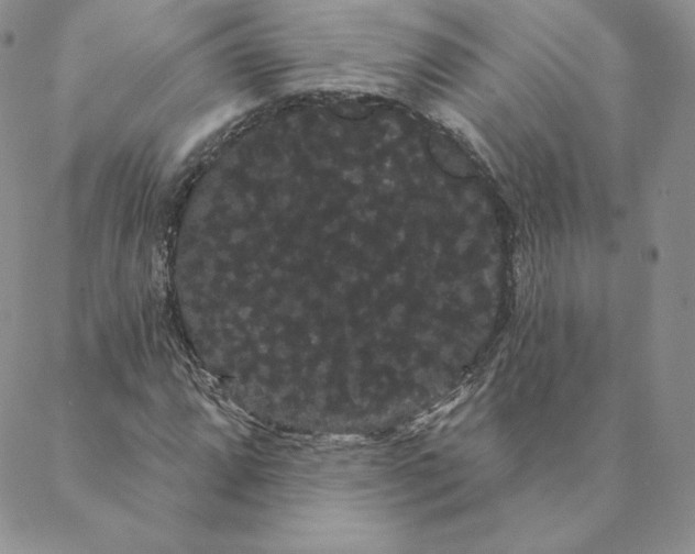 X0000088591064200706081322