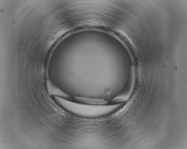 X0000088591065200706081322