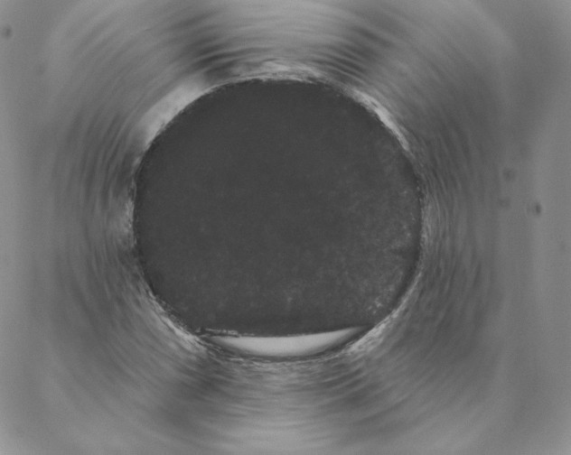 X0000088591066200706081322