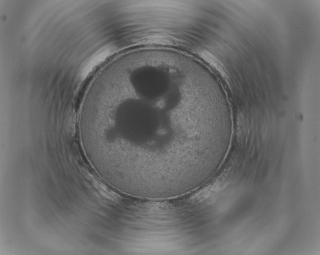 X0000088591067200706081322