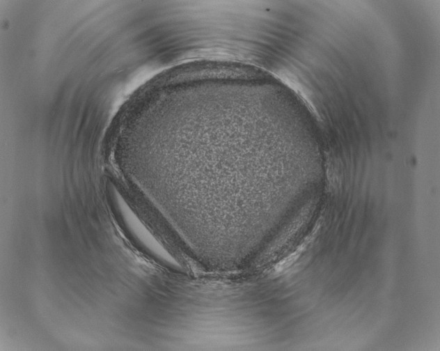 X0000088591070200706081322