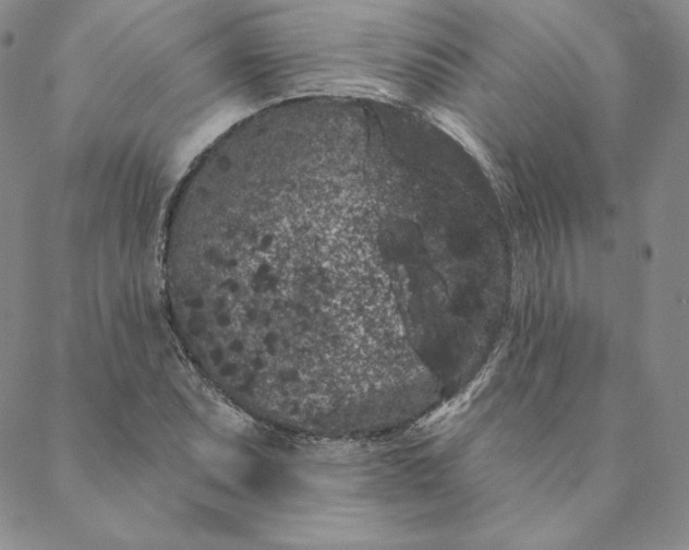 X0000088591071200706081322