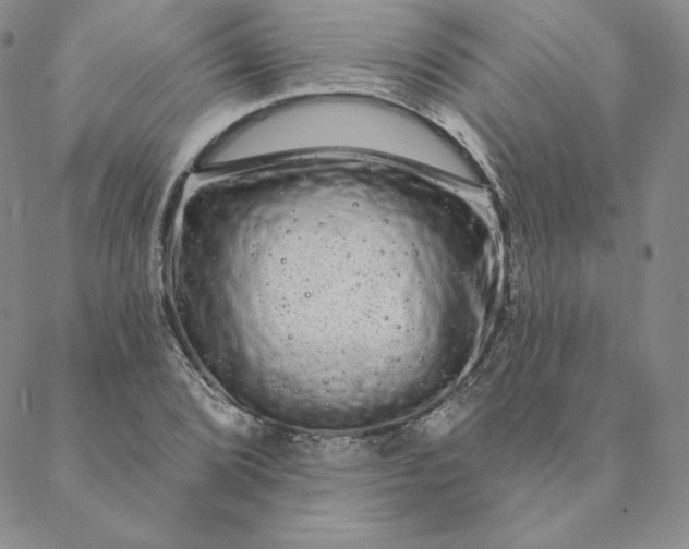 X0000088591072200706081322