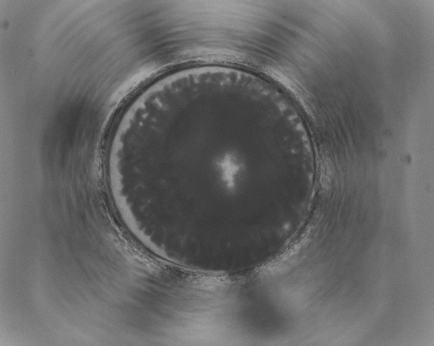 X0000088591074200706081322