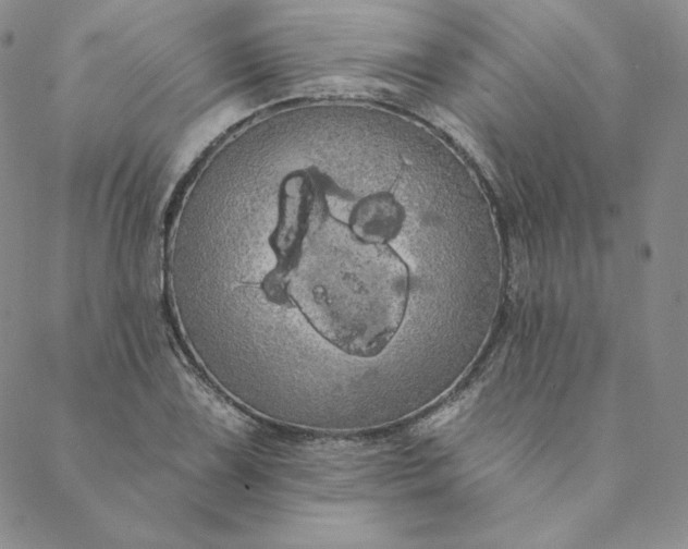 X0000088591075200706081322