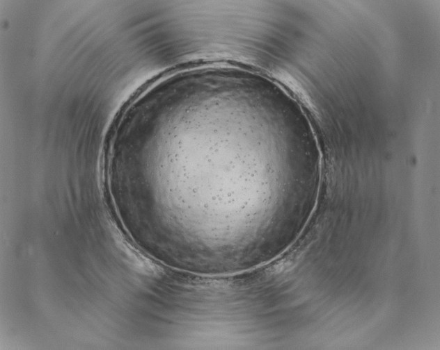 X0000088591076200706081322