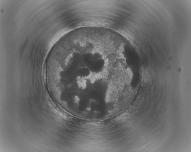 X0000088591078200706081322