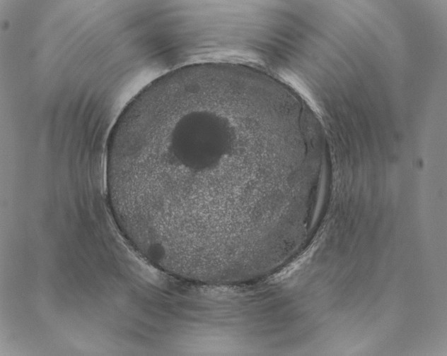 X0000088591079200706081322