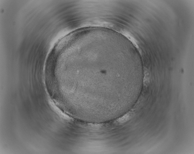 X0000088591080200706081322