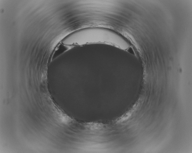 X0000088591081200706081322