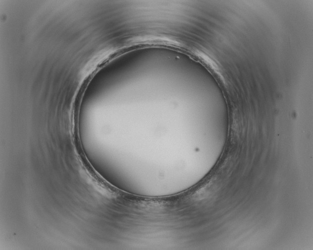 X0000088591082200706081322