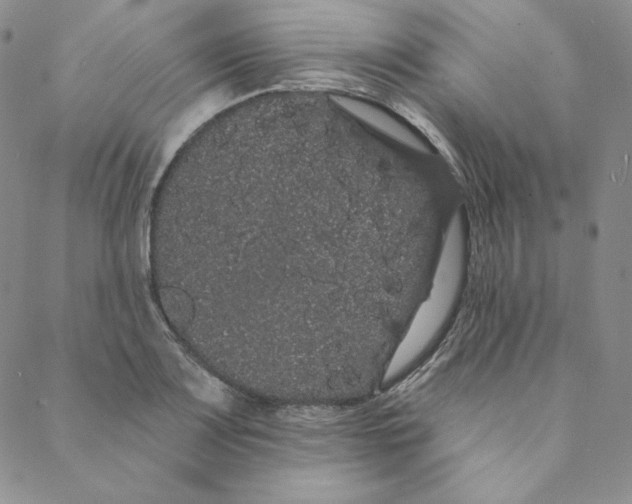 X0000088591083200706081322