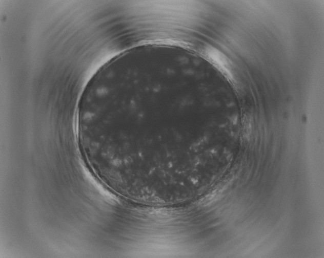 X0000088591084200706081322