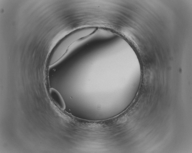 X0000088591085200706081322