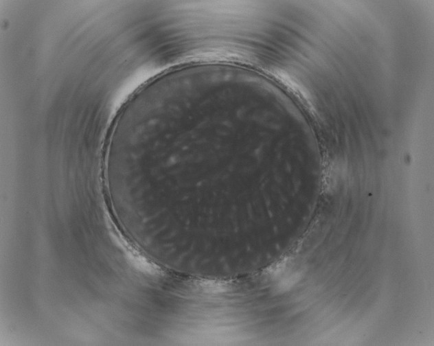 X0000088591086200706081322