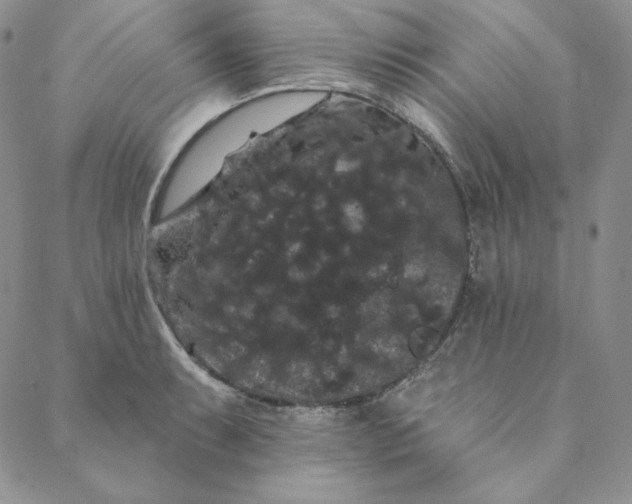 X0000088591087200706081322