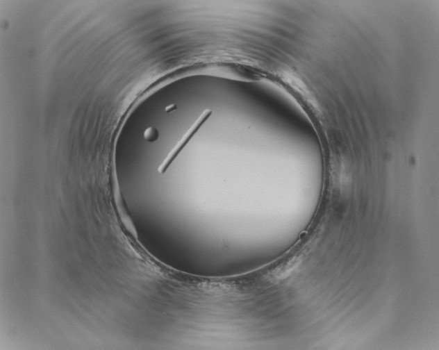 X0000088591089200706081322